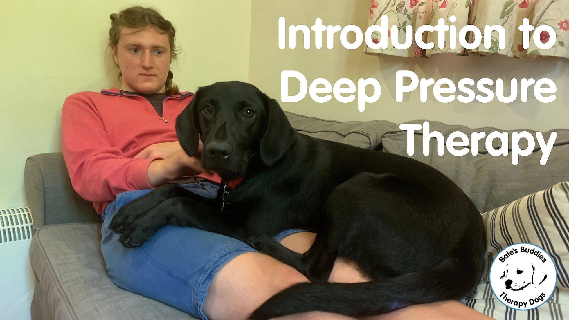Introduction to Deep Pressure Therapy